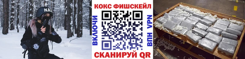 darknet телеграм  Камбарка  Cocaine 97%  как найти закладки 