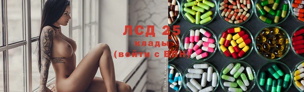 ешки Аркадак