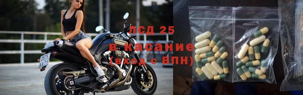 ешки Аркадак