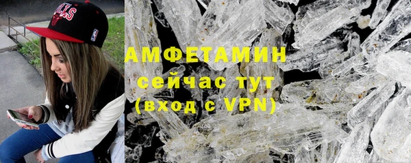молекула духа Арсеньев