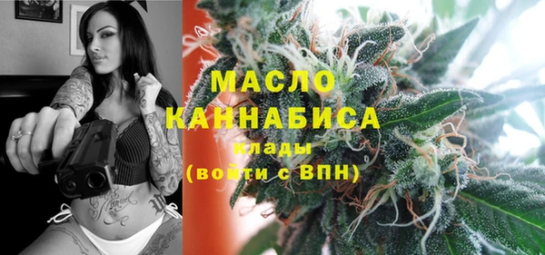 молекула духа Арсеньев