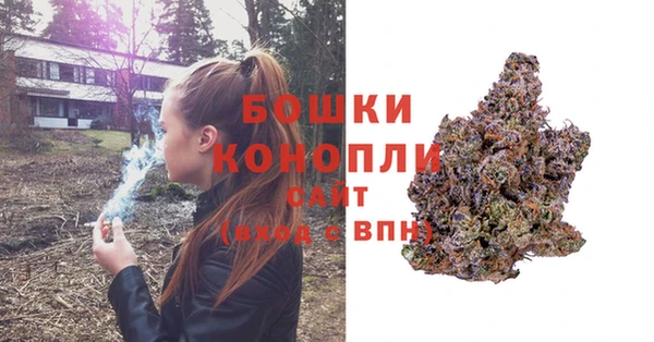 молекула духа Арсеньев