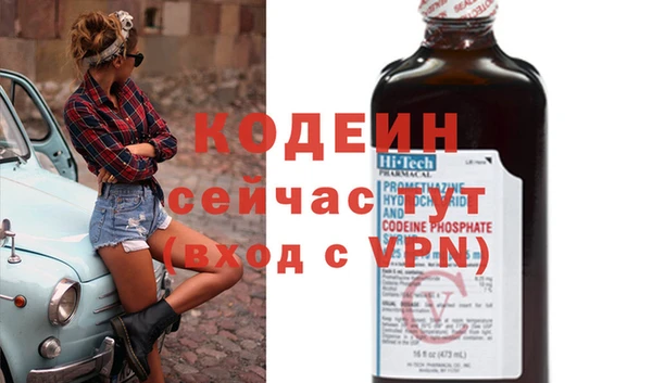 молекула духа Арсеньев